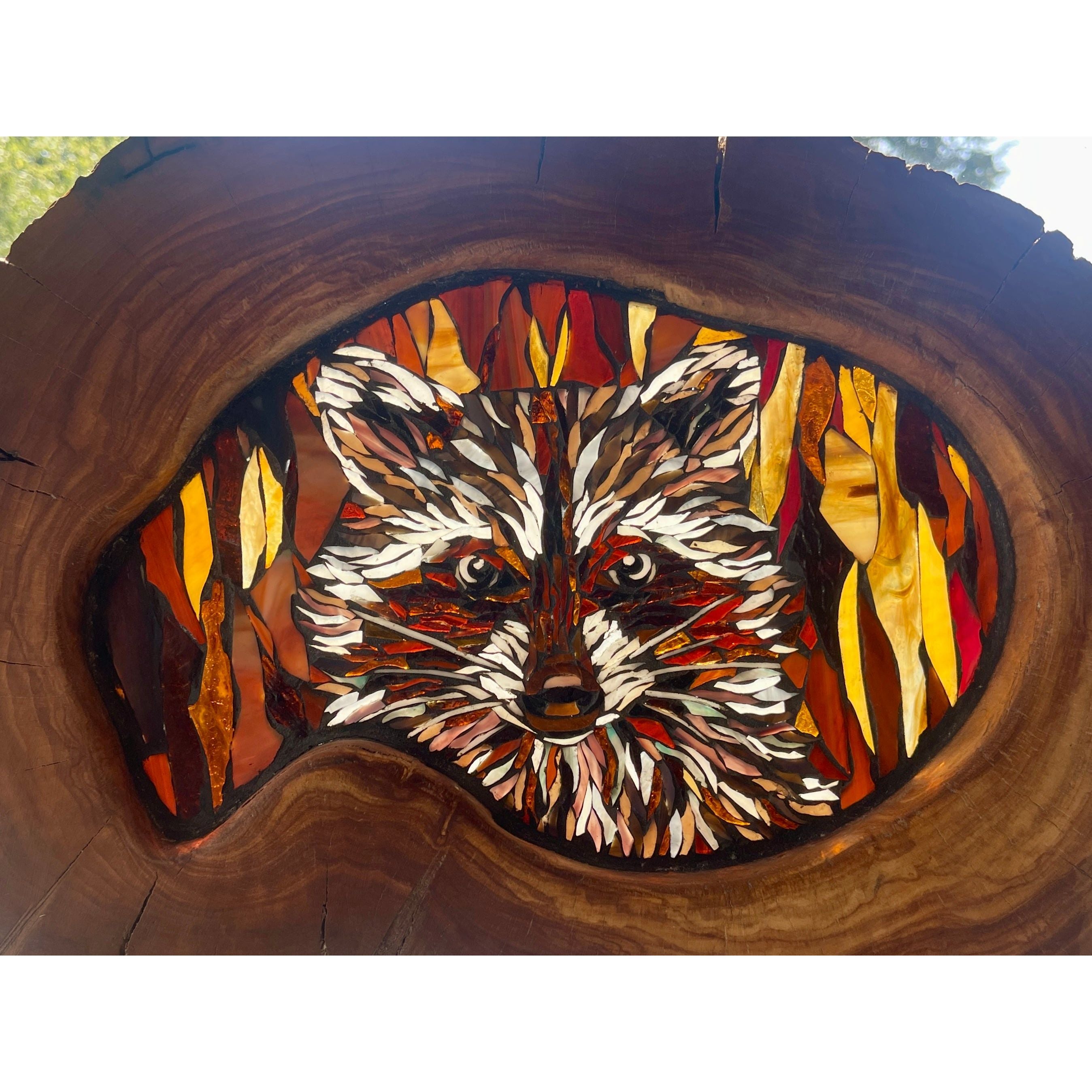 Raccoon in Apple Round