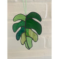 Monstera Leaf-2