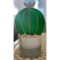 Succulent-1