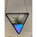 Air Plant Holder-1