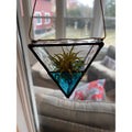Air Plant Holder-2