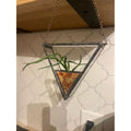 Air Plant Holder-3