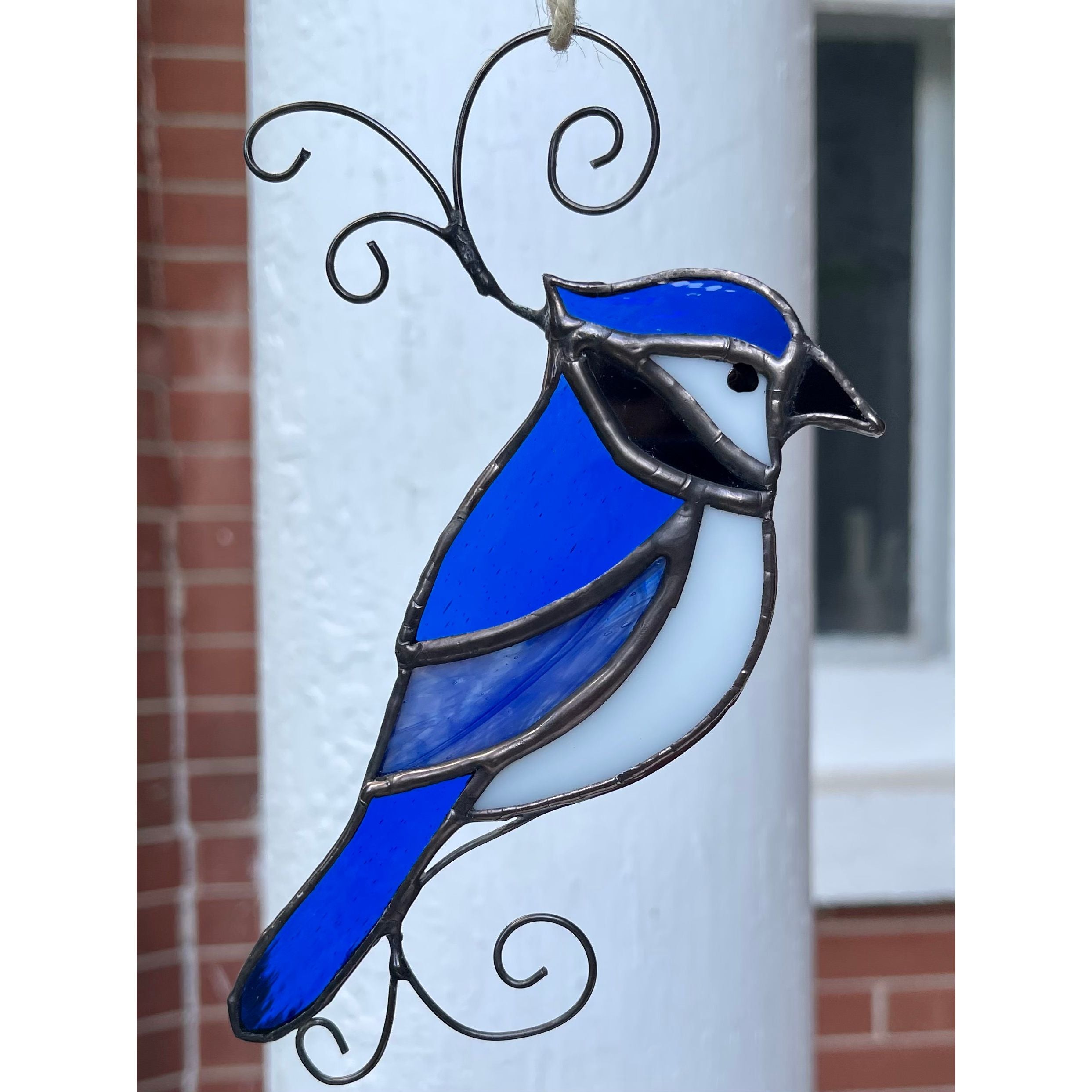 Blue Jay