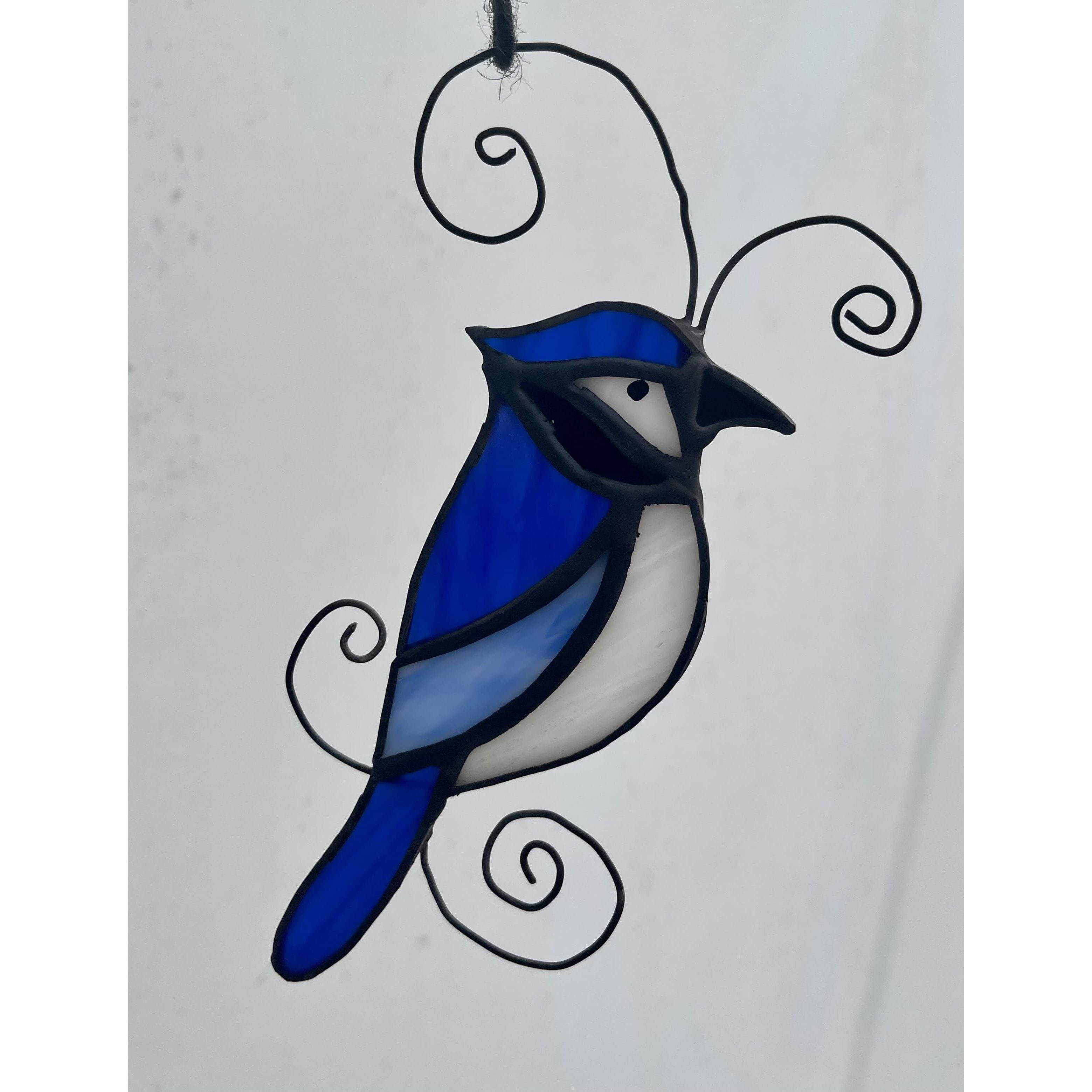 Blue Jay