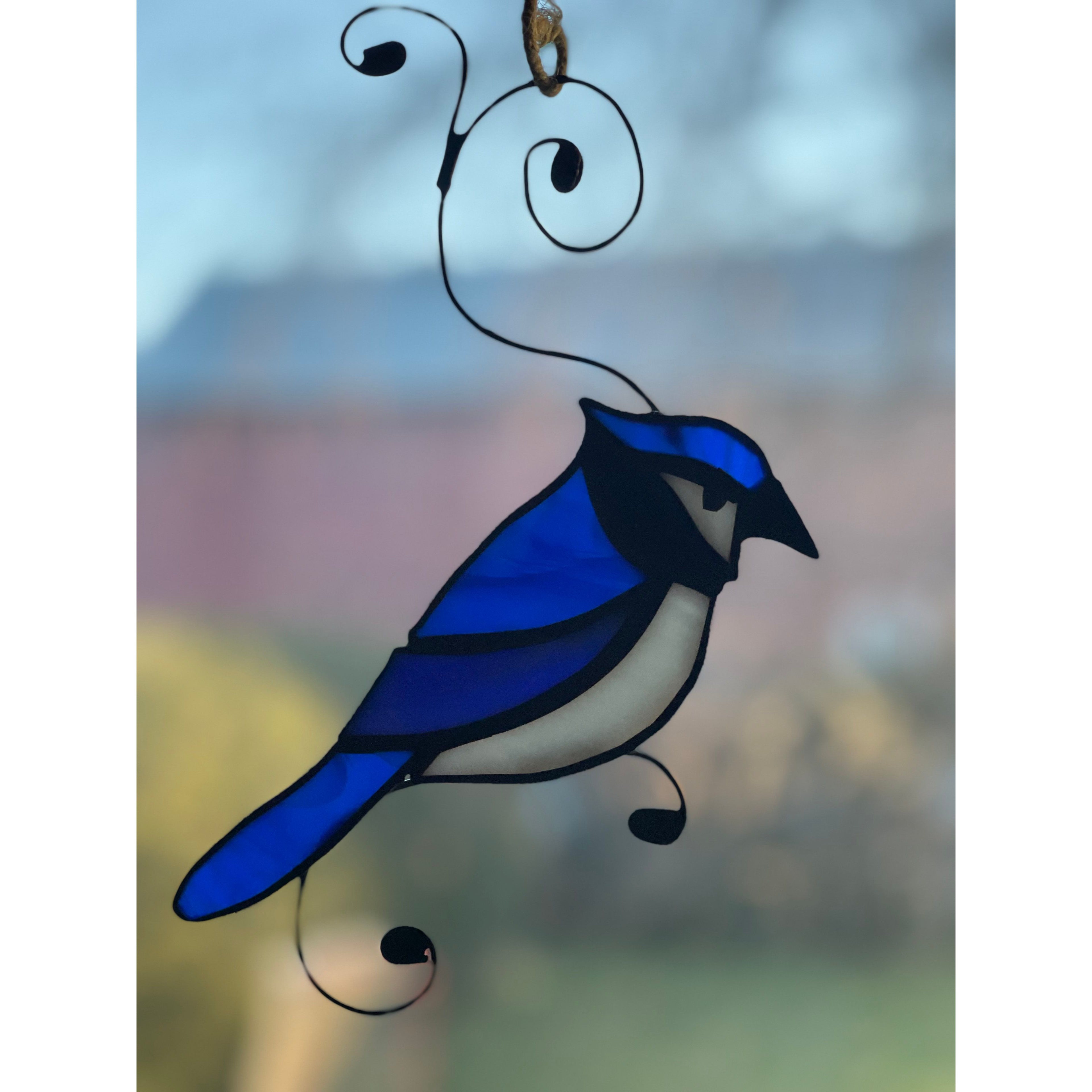Blue Jay