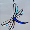 Dragonfly-3