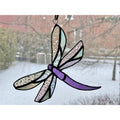 Dragonfly-5