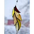 Feather-53