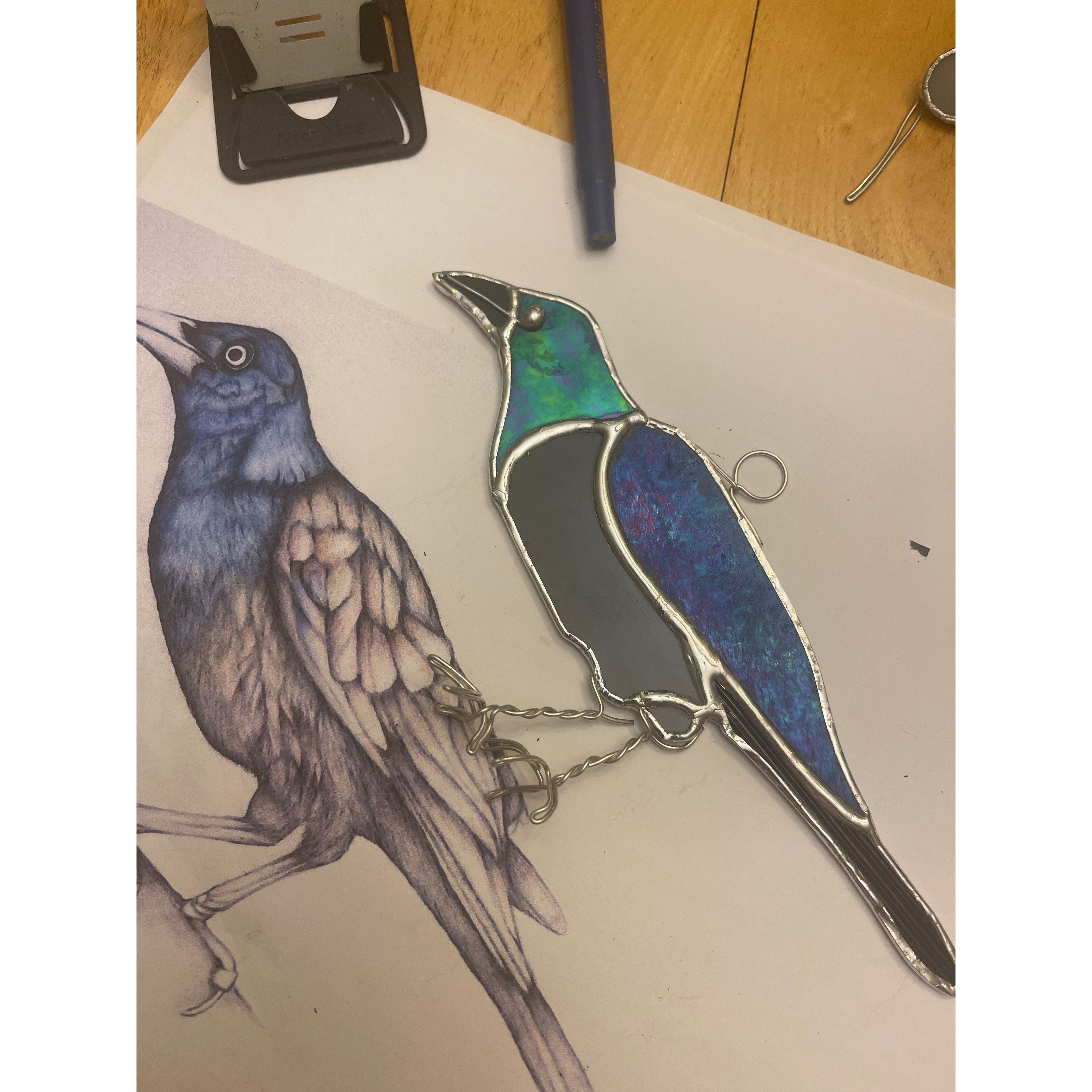 Grackle