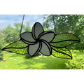 Plumeria
