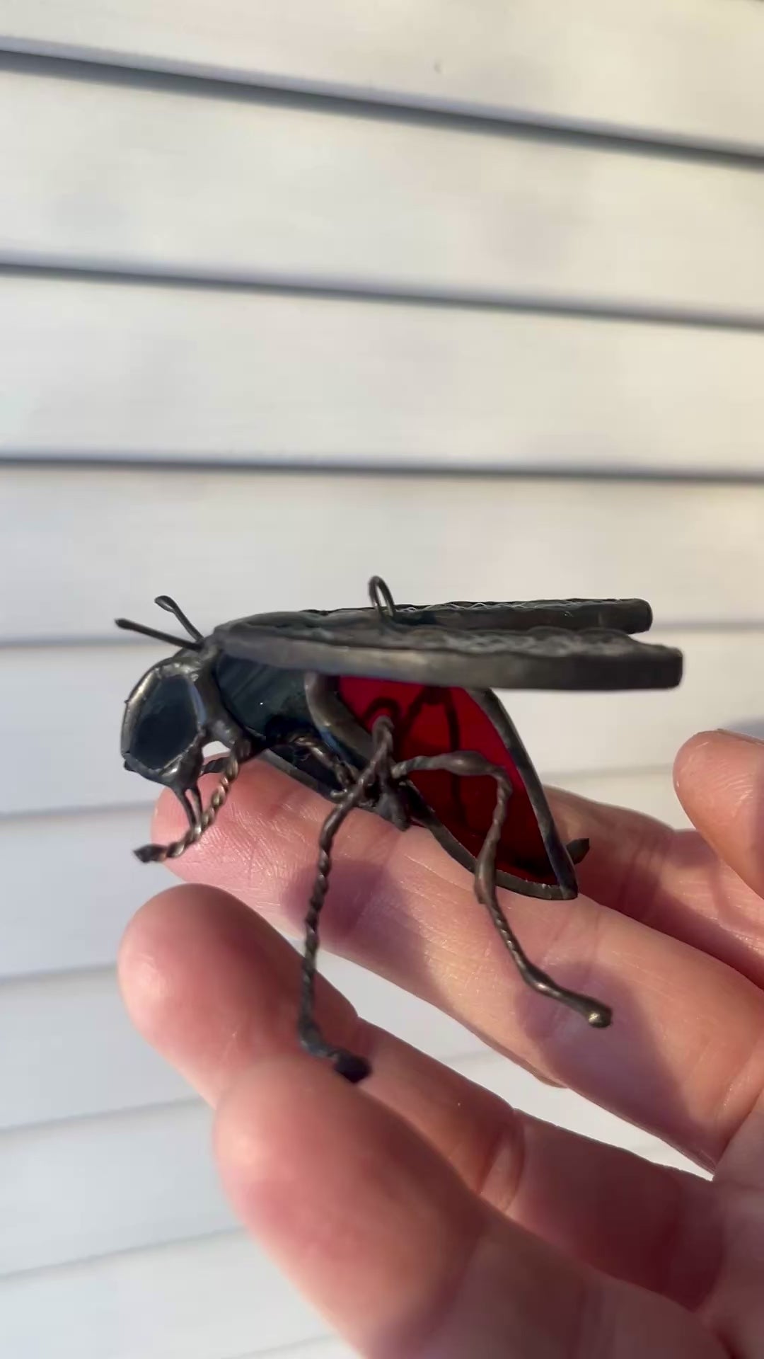 Black Fly-2