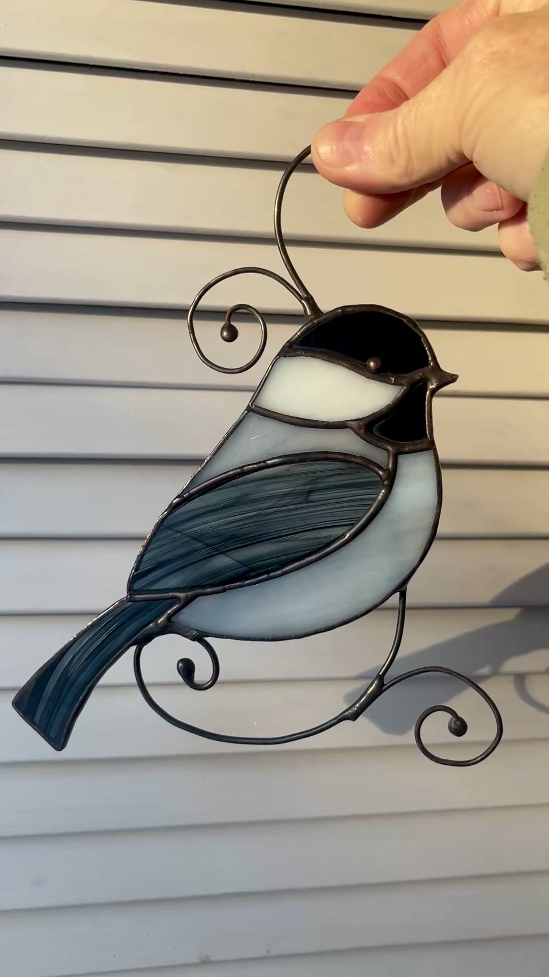 Chickadee-4