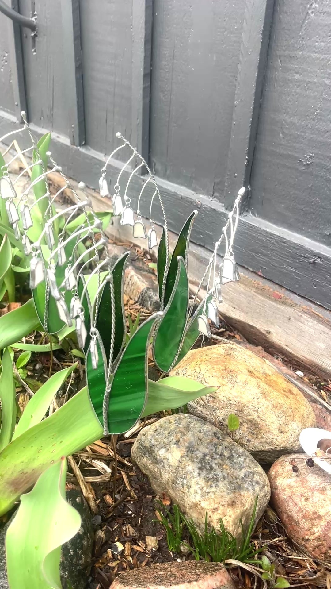 Lily Bunch