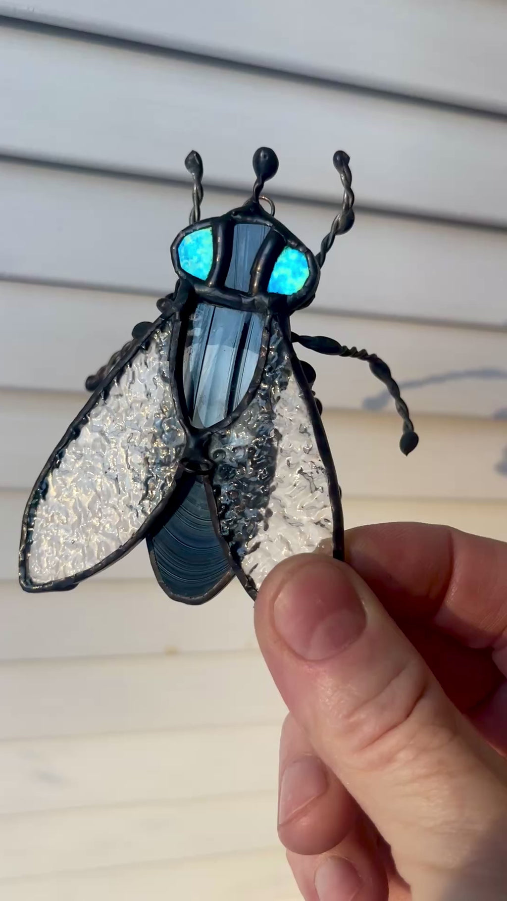 House Fly-1
