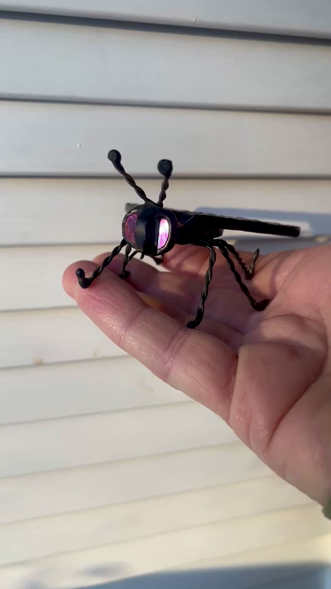 Deer Fly-2