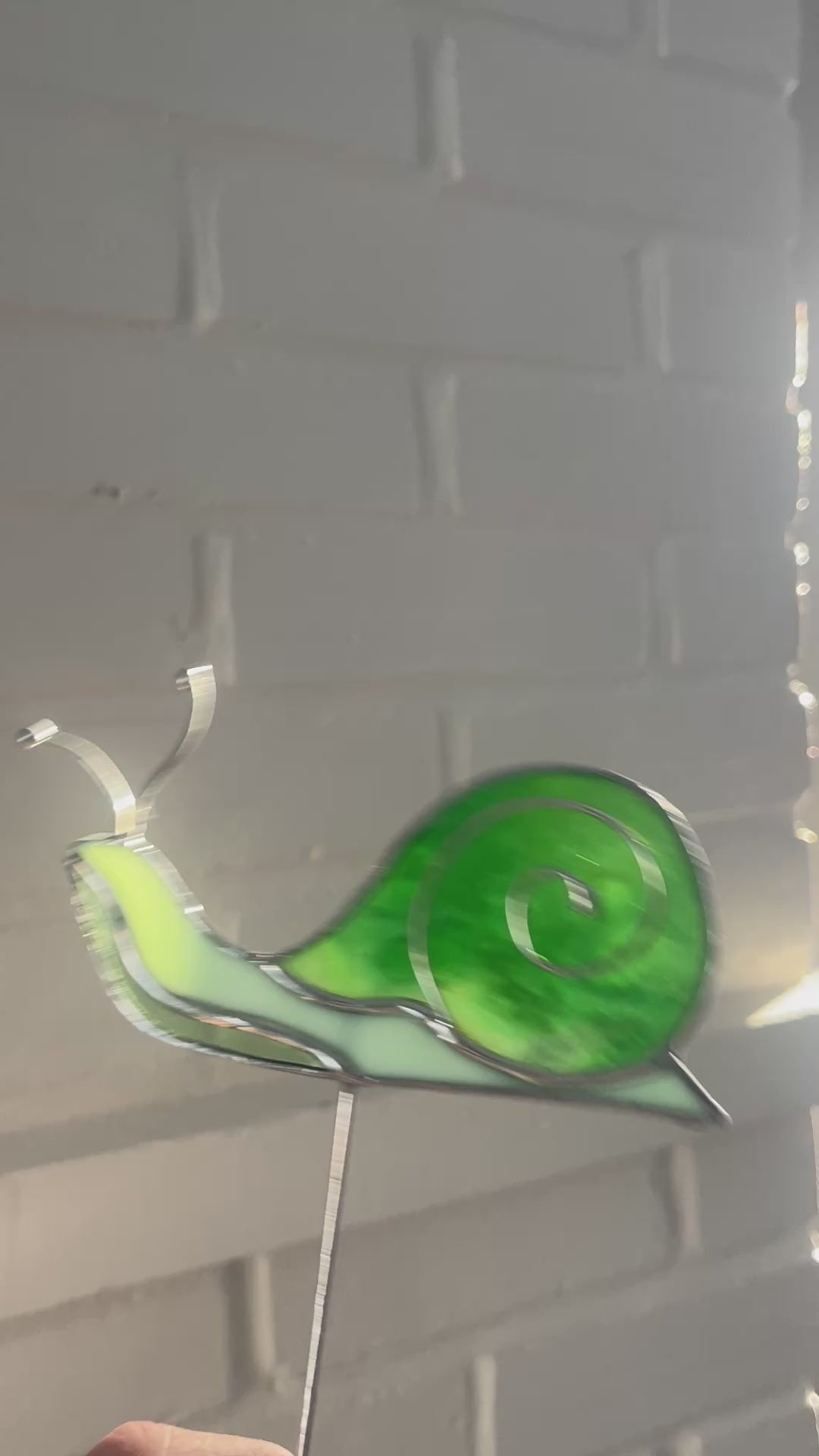 Snail-26