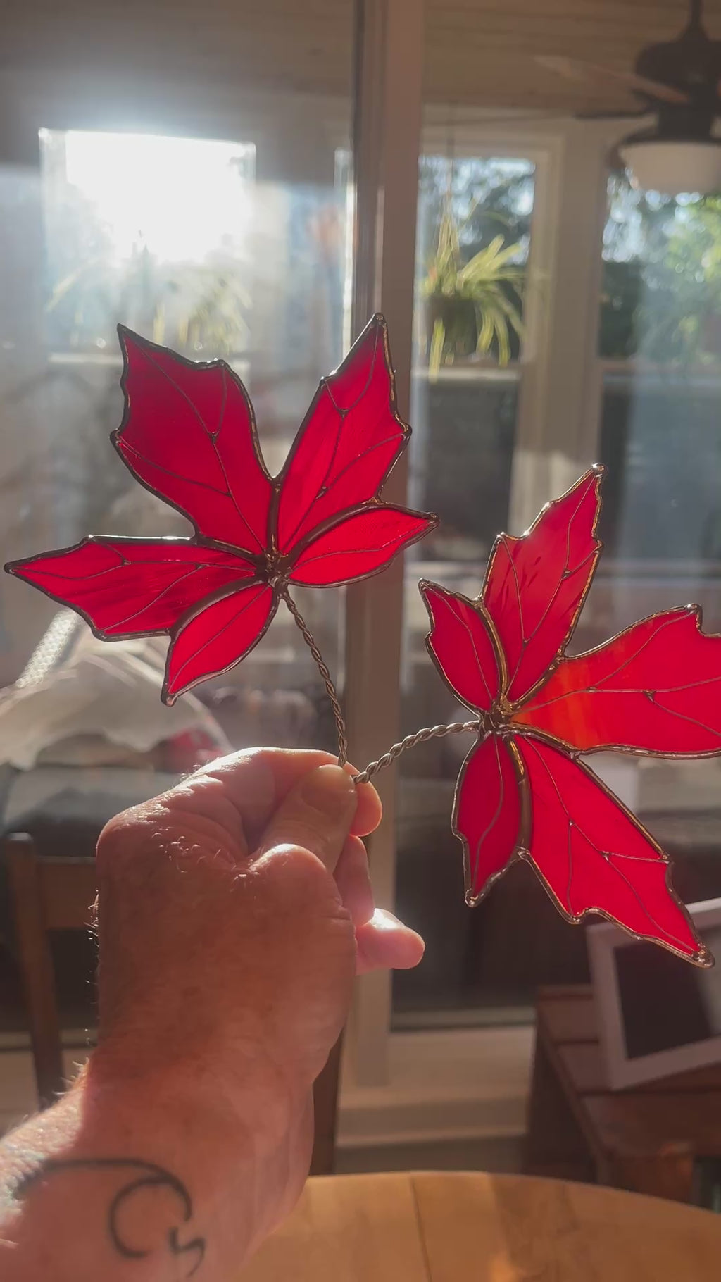 Maple Leaf-3