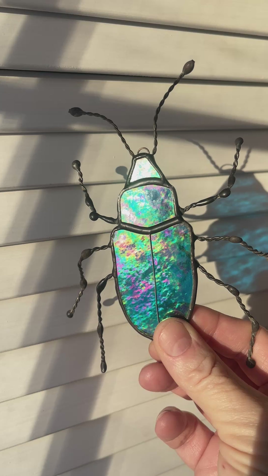 Cobalt Milkweed Beetle-1