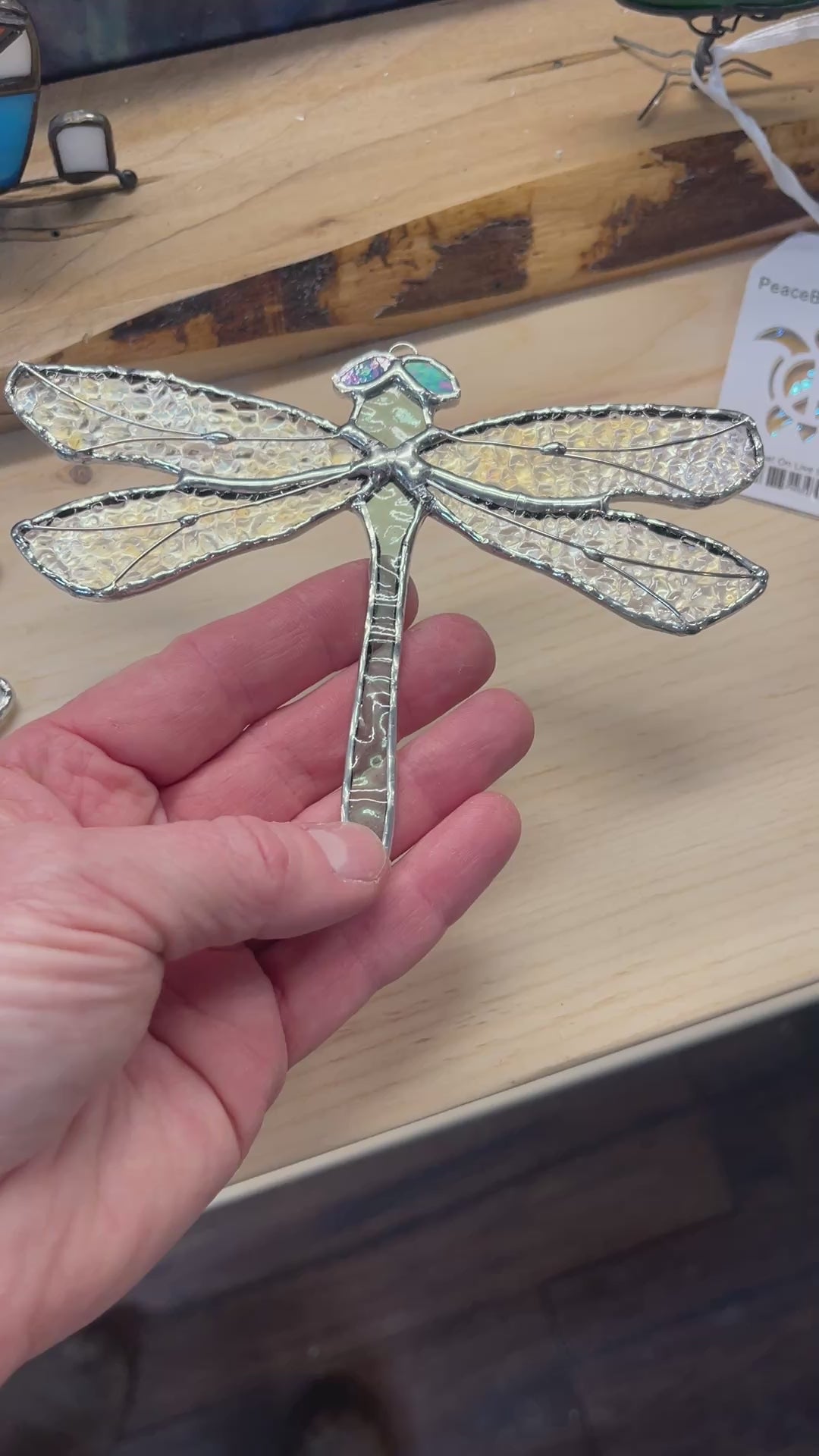 Dragonfly-10