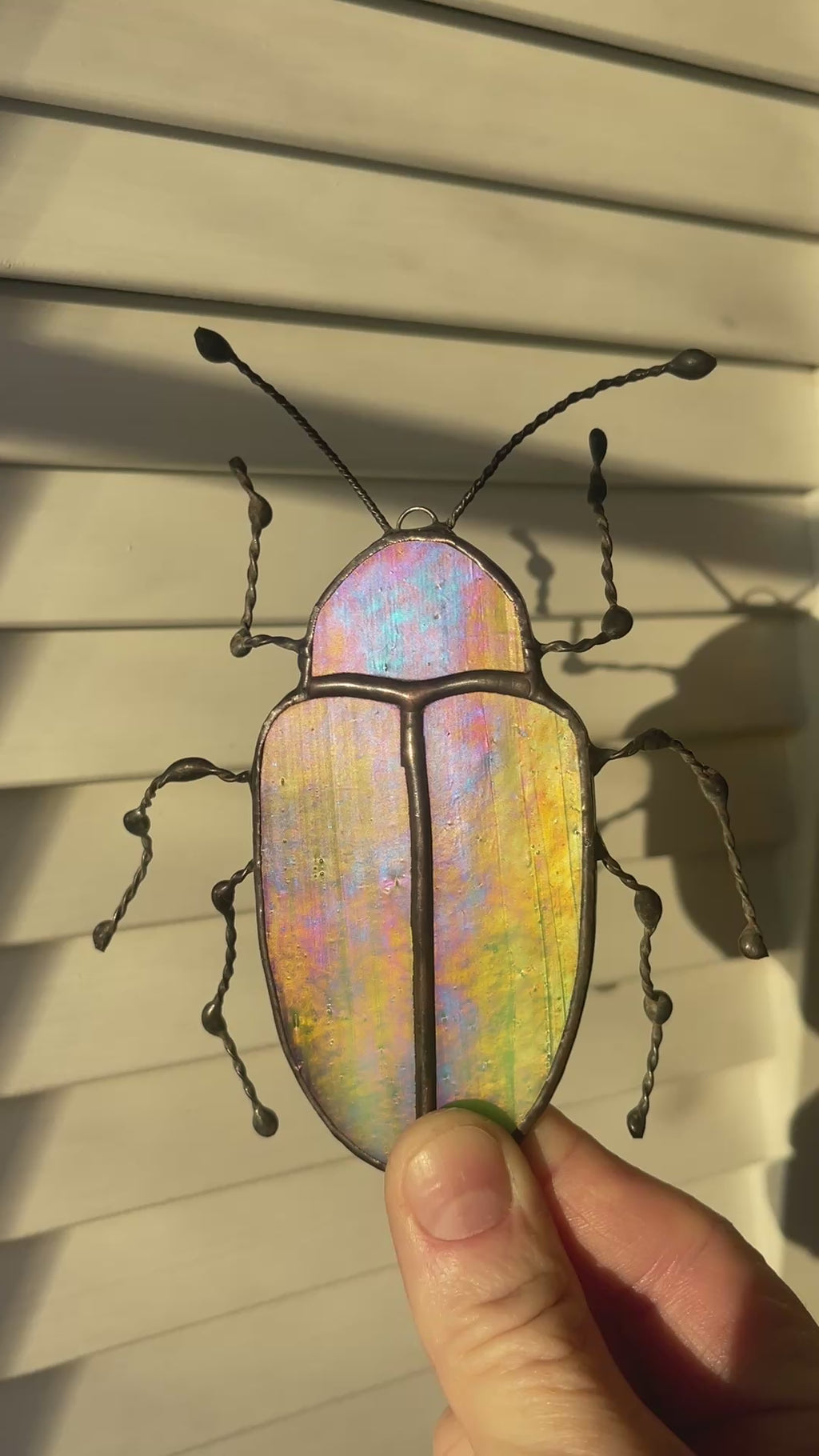 Dogbane Beetle-2