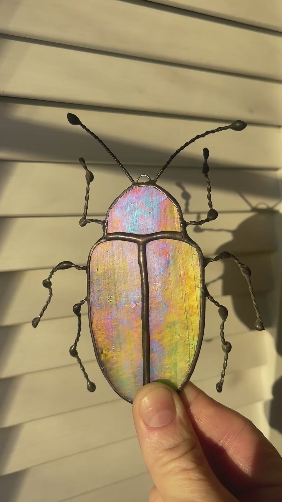 Dogbane Beetle-2