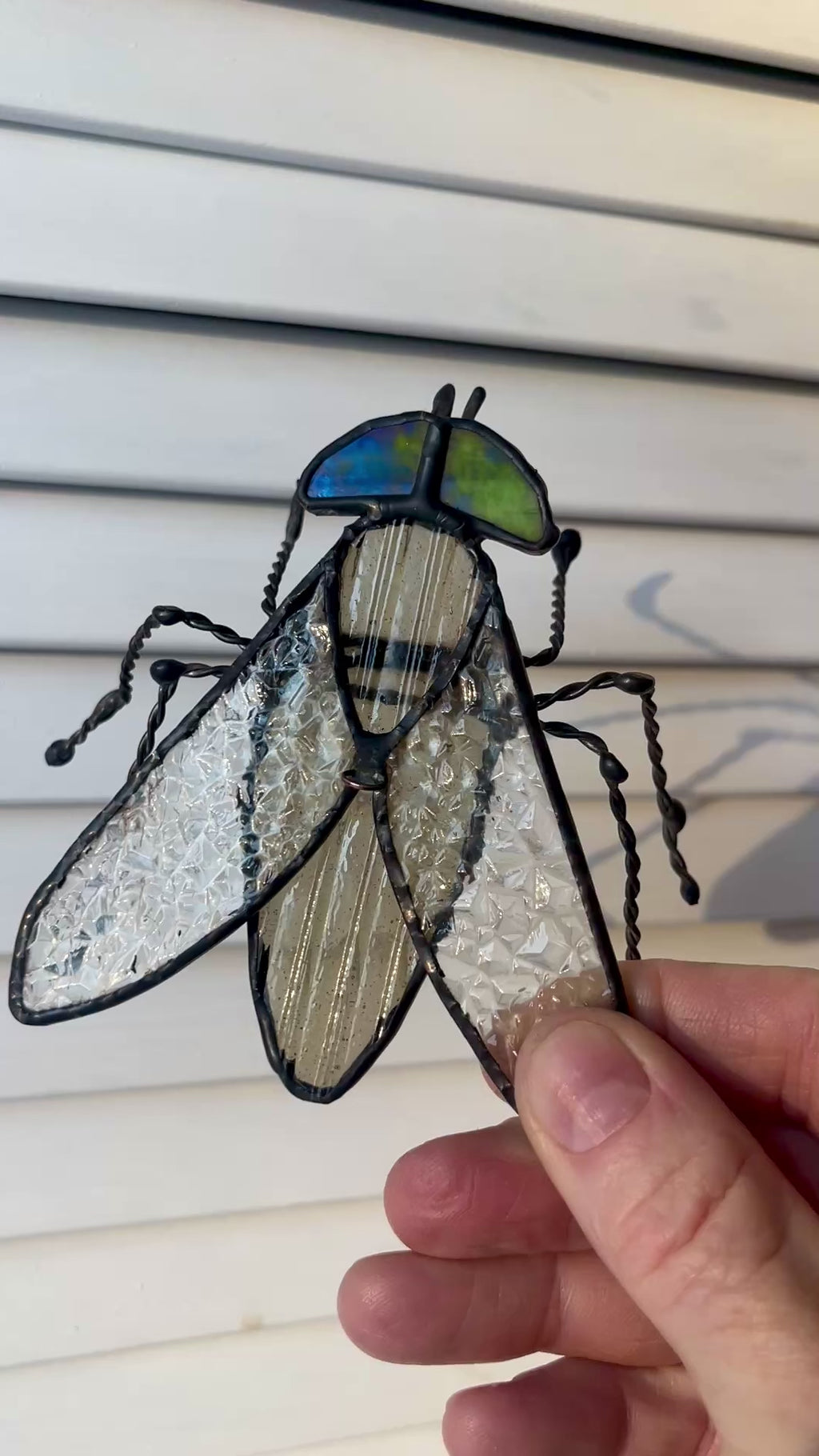 Horse Fly-2
