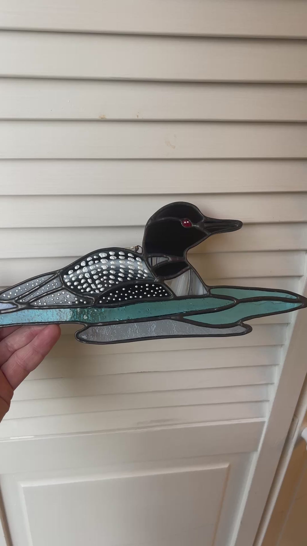 Loon-1