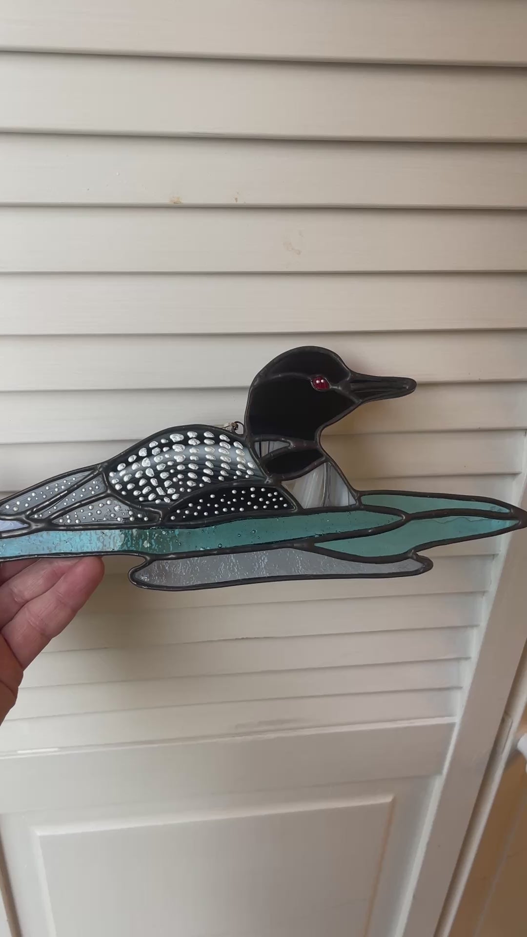 Loon-1