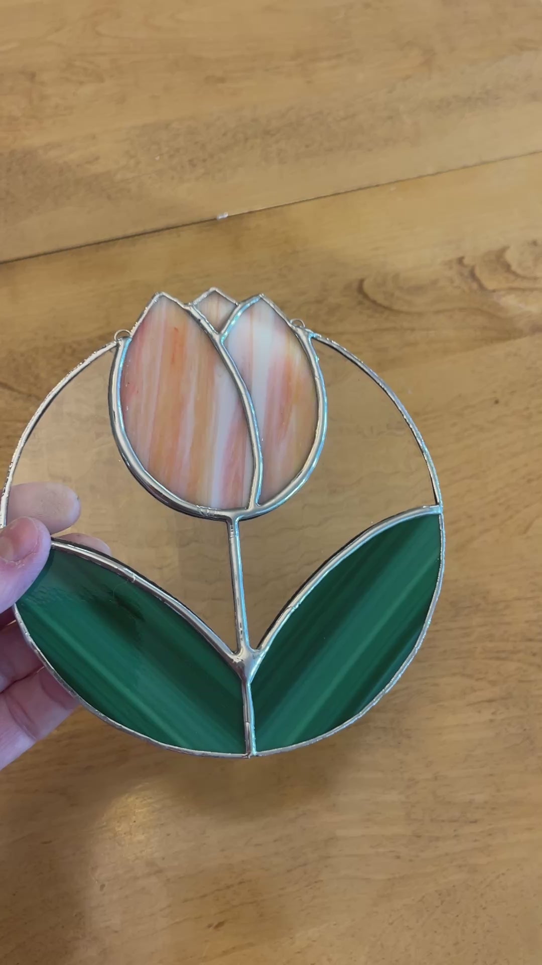 Tulip -4