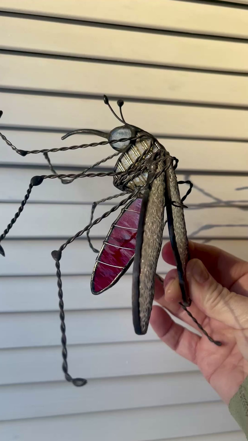 Mosquito-5