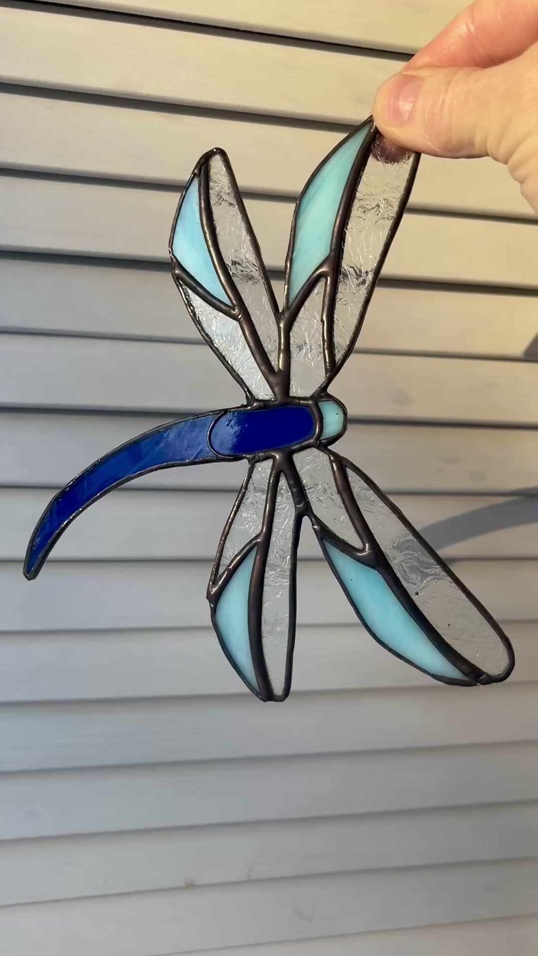 Dragonfly-6