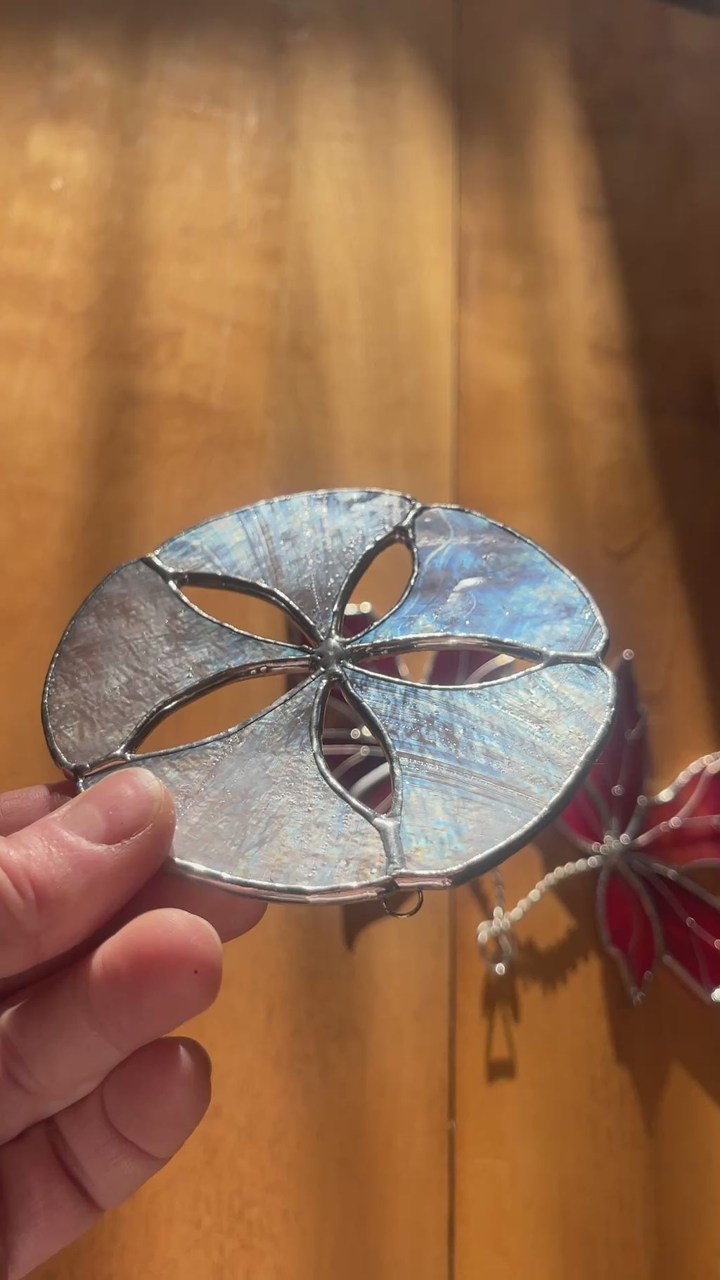 Sand Dollar-1