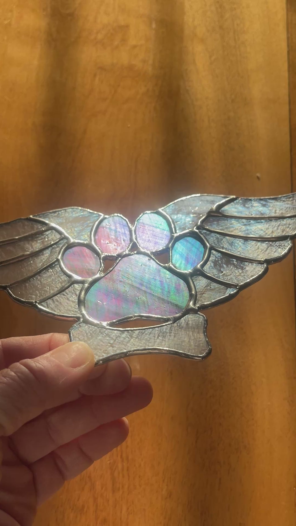 Angel Paw-1