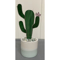 Succulent-3
